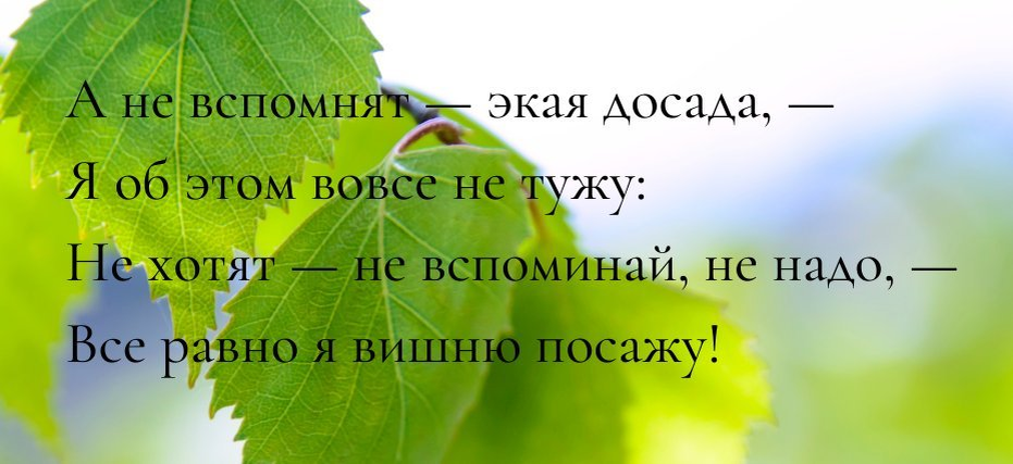 В школе под партой у мальчиков