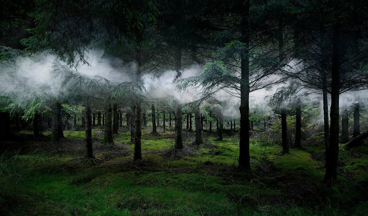 Фото: vsegda-pomnim.com