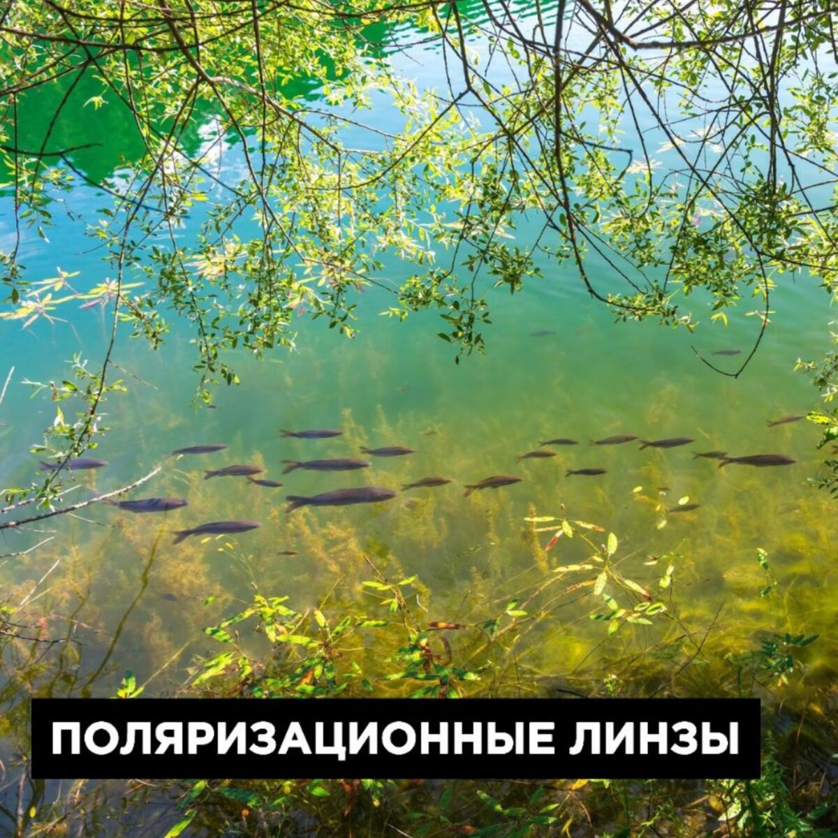 Как выбрать очки для рыбалки. Рыболовные очки. | Мои Очки | Дзен