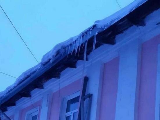     Фото: СУ СК РФ по Алтайскому краю