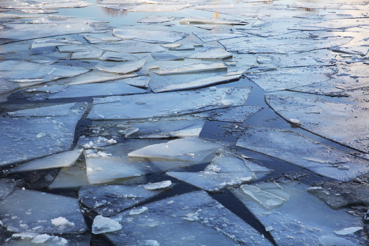 Фото: ГПБУ "Мосприрода"