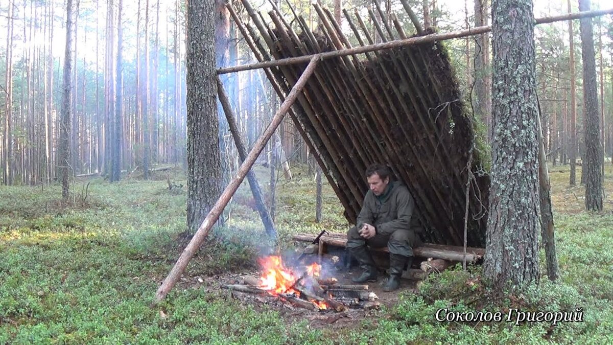 Шалаш из жердей и лапника