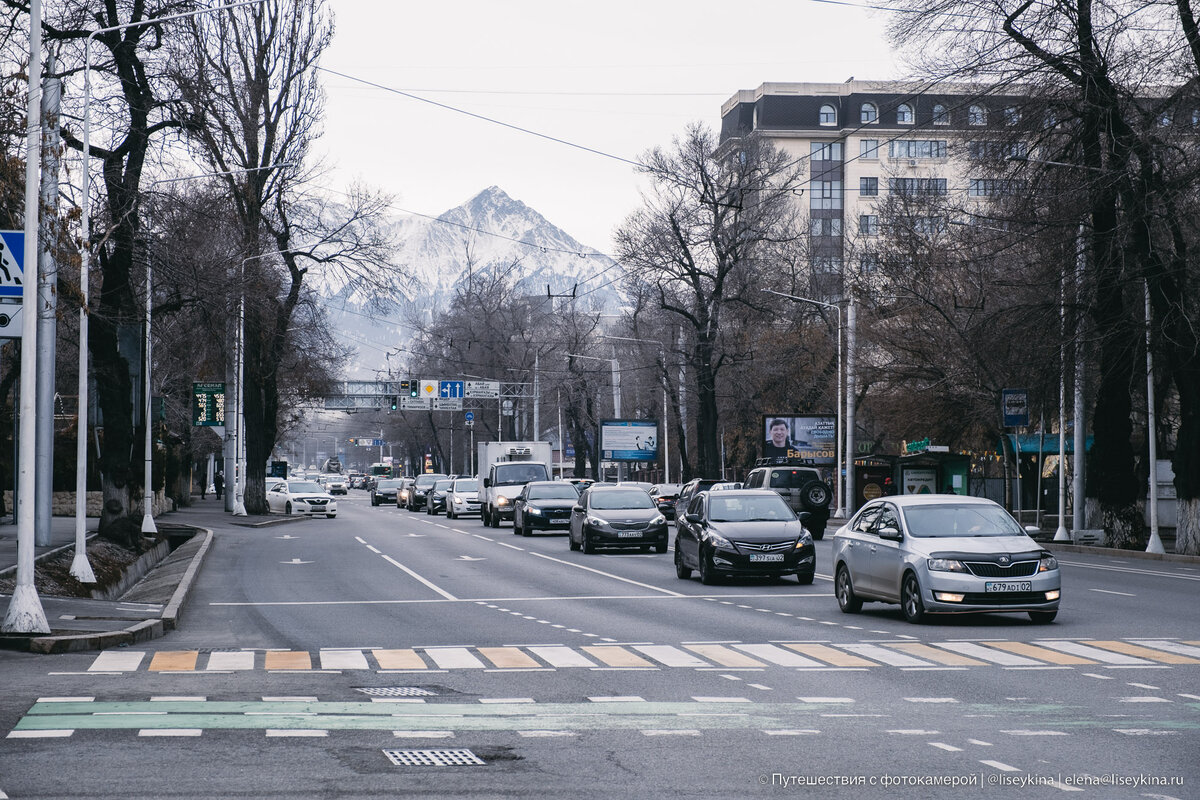 Чем удивляет Алматы, когда приезжаешь туда впервые? | Путешествия с  фотокамерой | Дзен