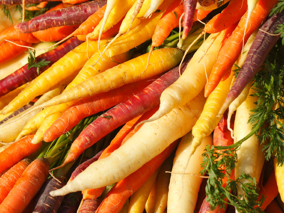 Фото: globallookpress.com