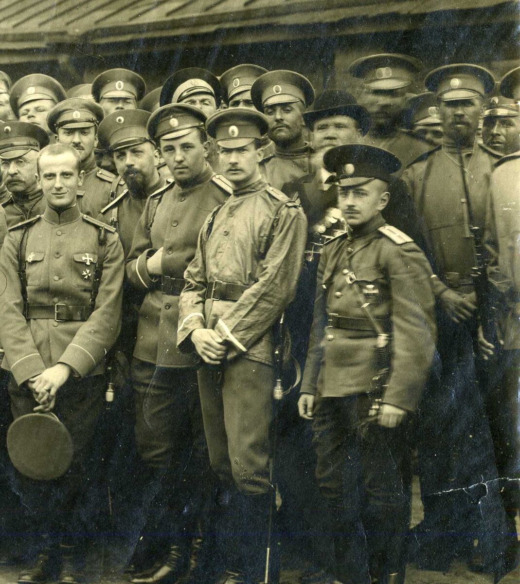 полки царской армии 1914