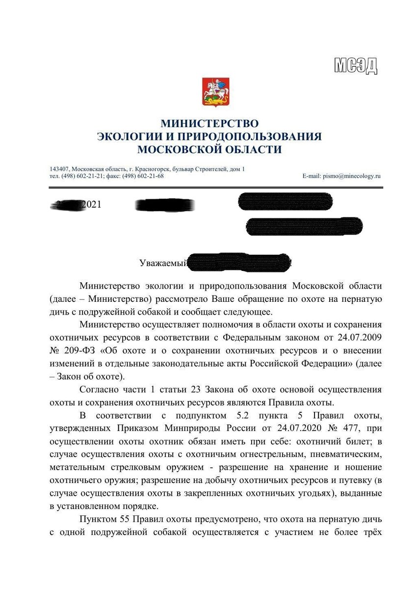 Расширяем сроки охоты на пернатую дичь - собака вам в помощь | Подмосковный  охотник со спаниелем | Дзен