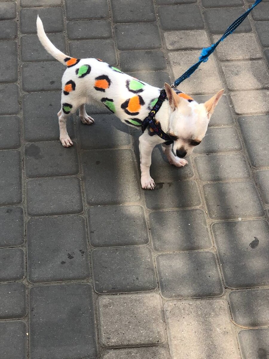 Фото из личного архива