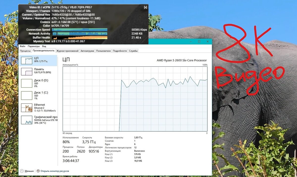 Какой компьютер подойдёт для просмотра 8к контента? Подборка CP, GPU и ОЗУ  для 4320p | ТЕХНОДОЗА | Дзен