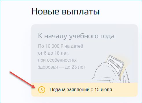 Скриншот с госуслуг