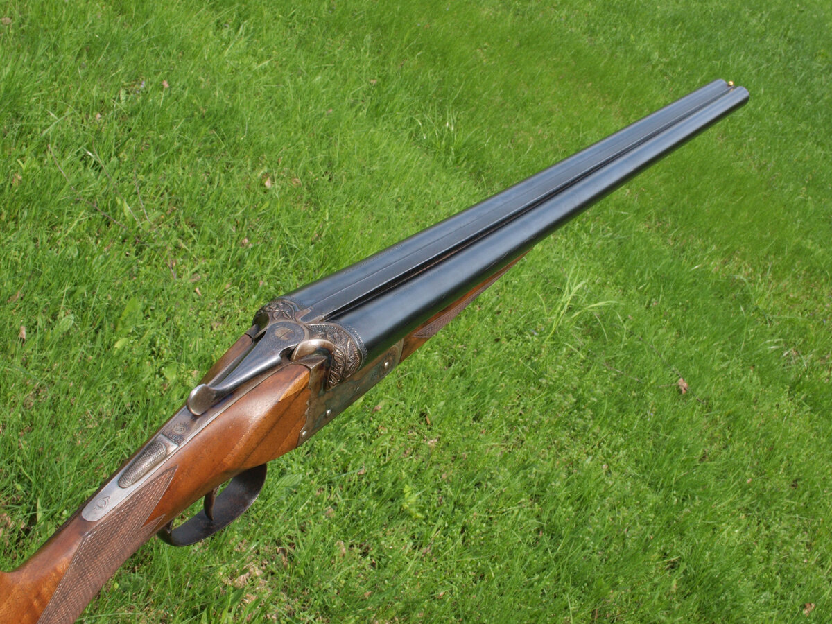 Фото: Александр Гусев