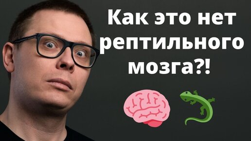 Рептильного мозга нет, Канеман ошибся, а лимбическая система не управляет тобой