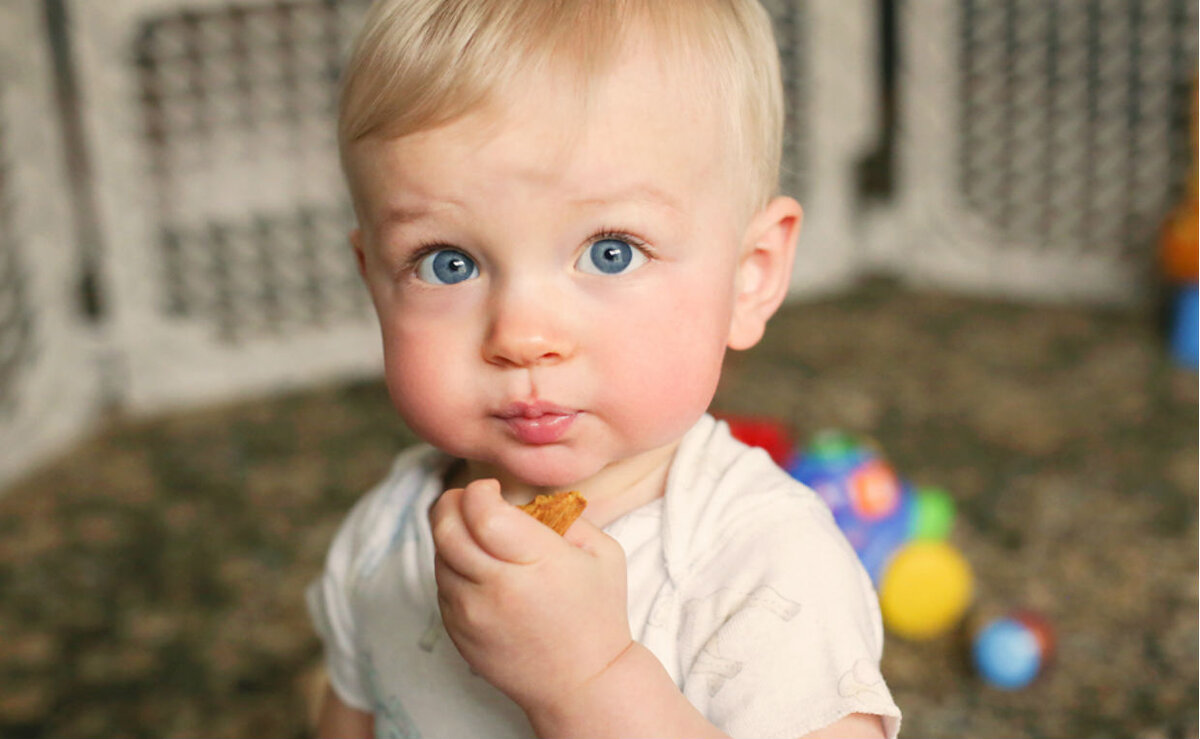 из свободных источников, вот примерно так он выглядел