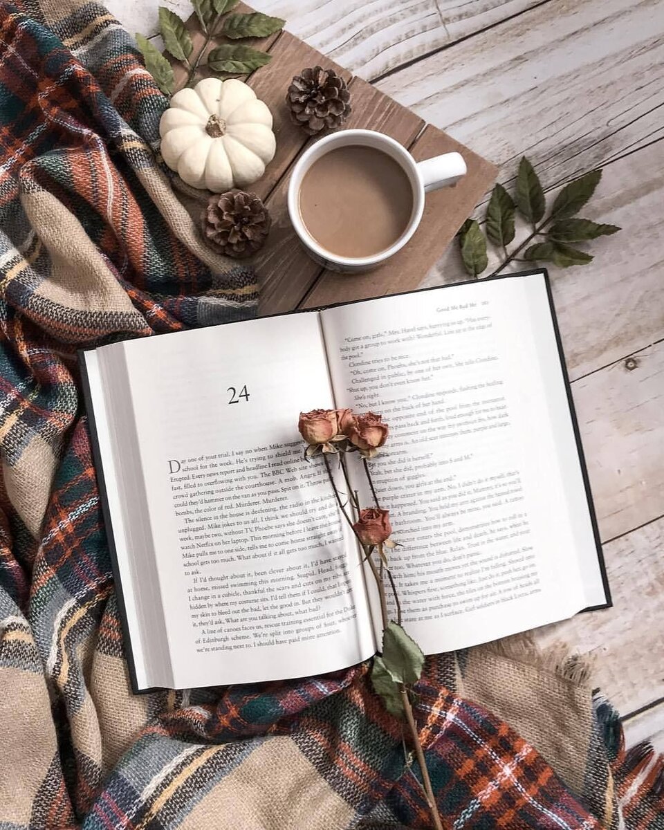 Книги стильные картинки