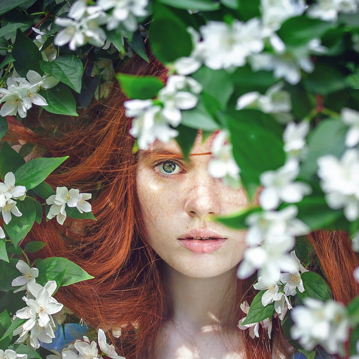 Источник:http//pixabay.com.