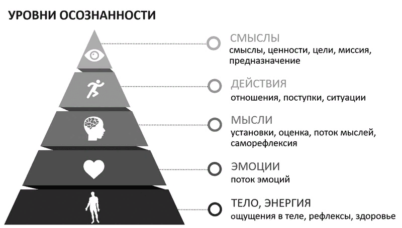 Деятельность на уровне сознания в идеальном плане оперирование образами символами идеями называется