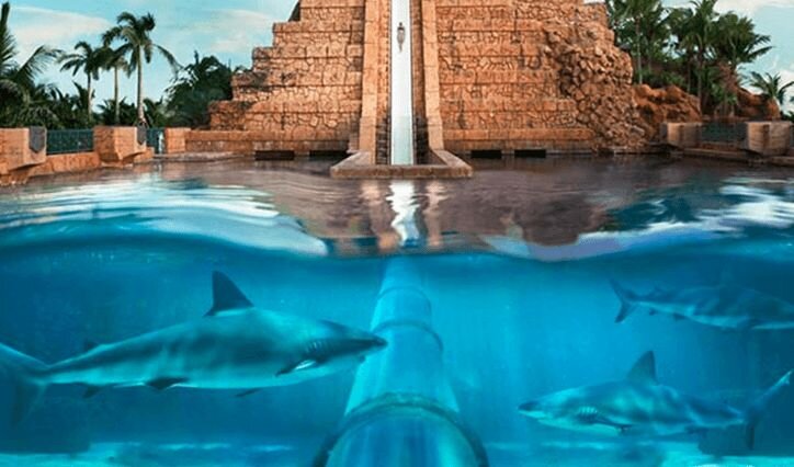 Aquaventure Waterpark Experience in Dubai