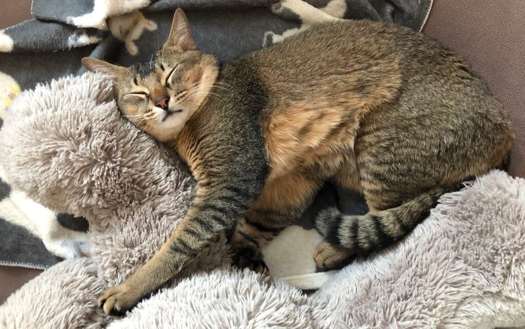 Списал долги и спит