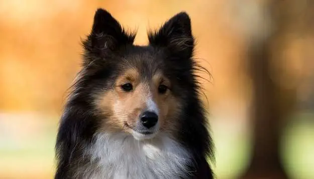 Вот молодец!