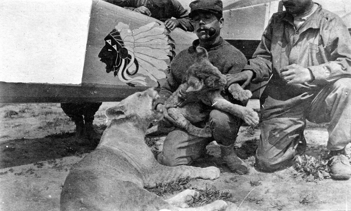 Талисманы эскадрильи - львицы Виски и Сода