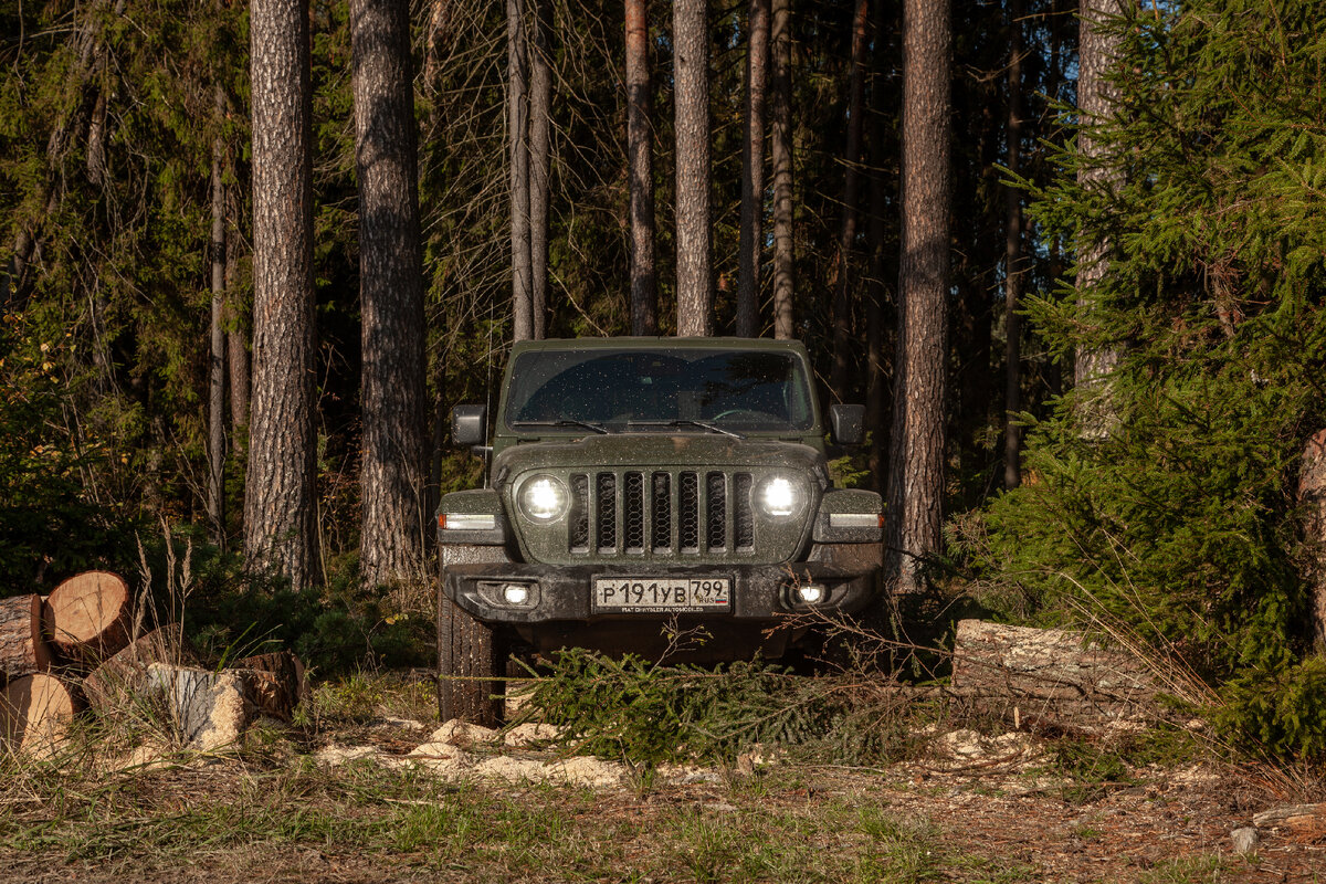 Капот открывается с улицы, путем отщелкивания крепежных замков. Если сигнализация не работает, то злоумышленникам будет довольно легко унести из-под капота, например, аккумулятор. Однако в рабочем состоянии сигналки сделать это бесшумно невозможно – будет «орать», как бешенная