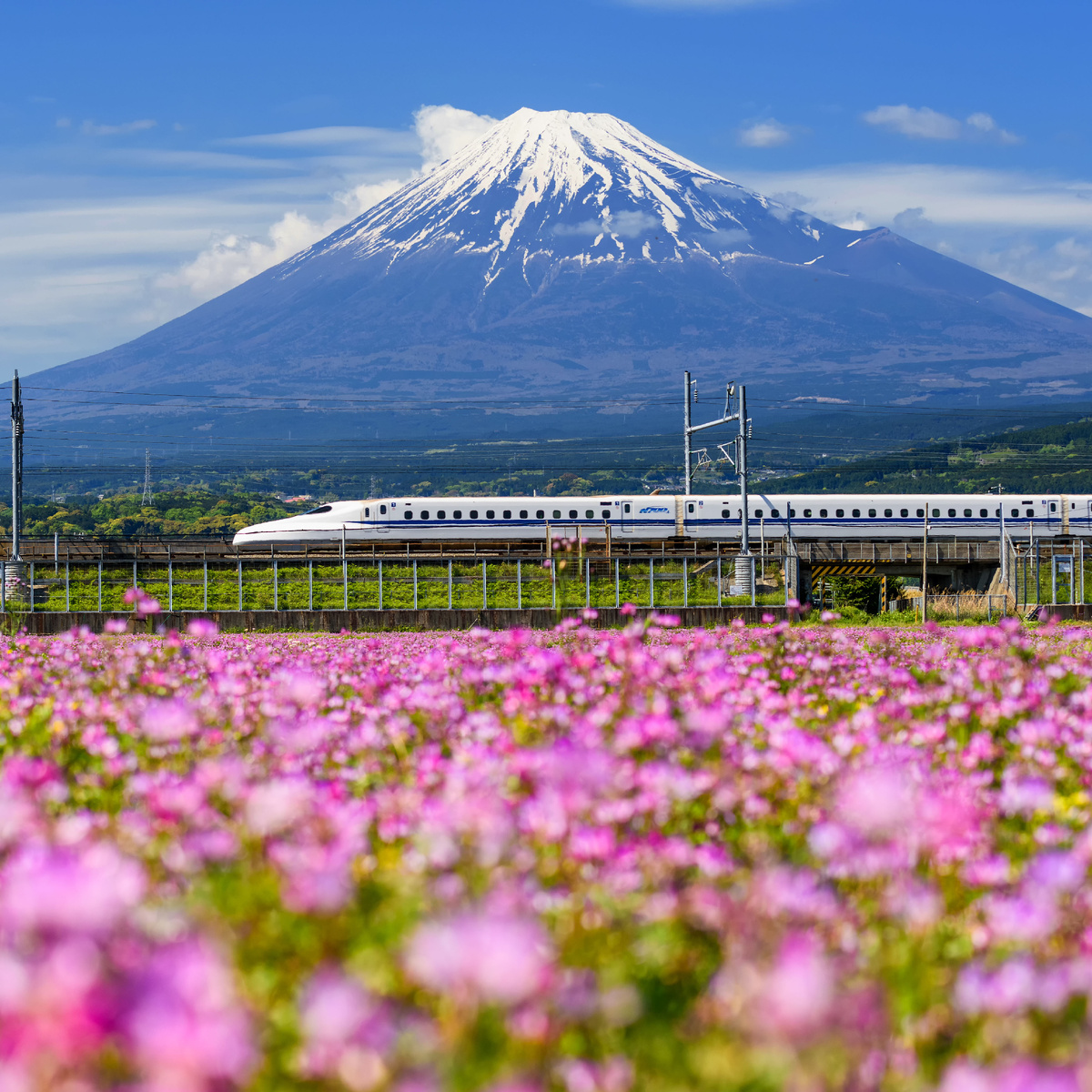 Синкансен во время проезда мимо горы Фудзи. 