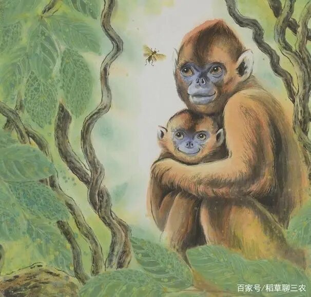 Источник: 微信