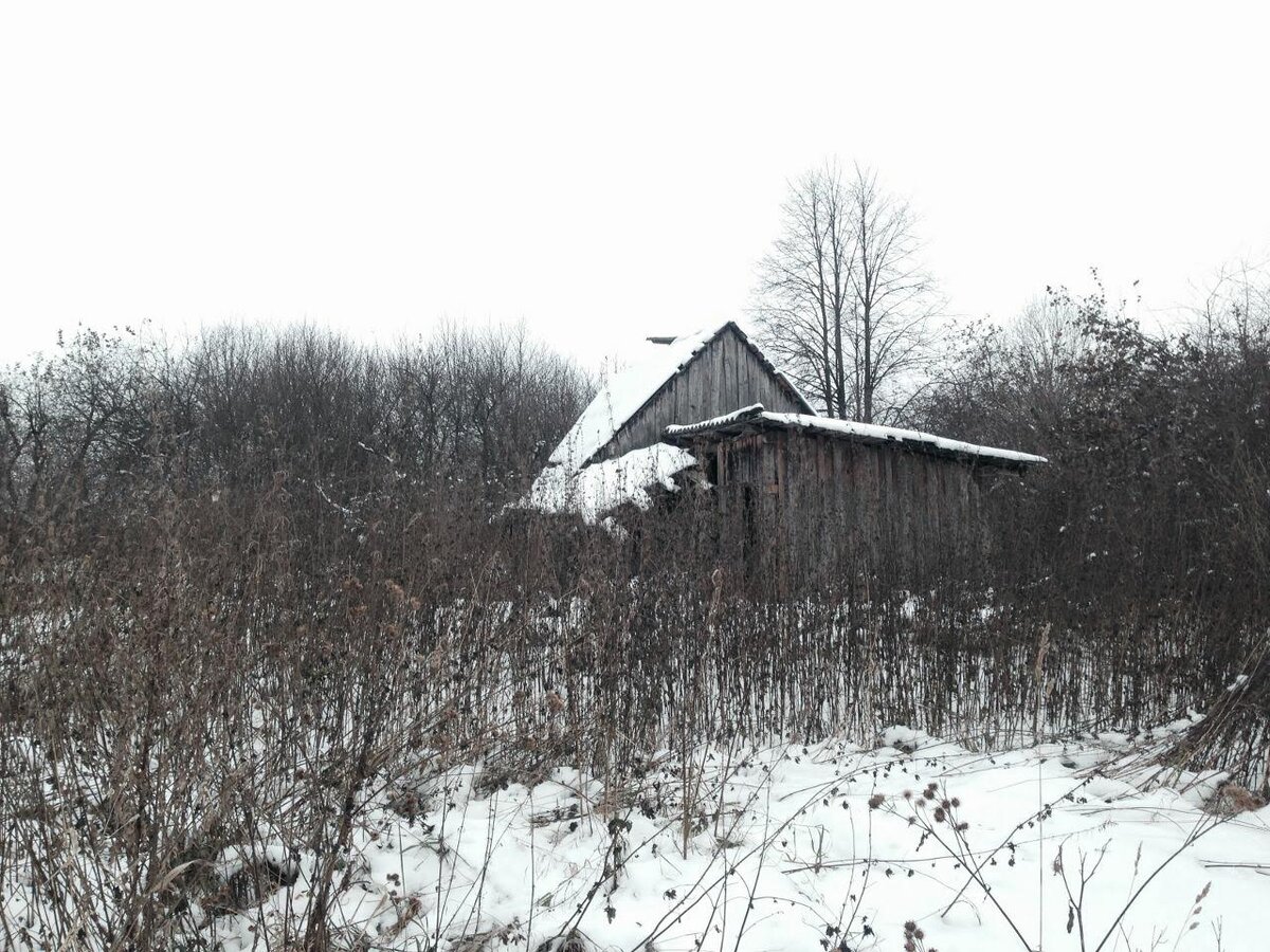 Сарайчик