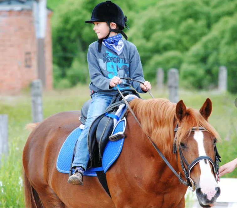 фото из свободного доступа сети интернет 