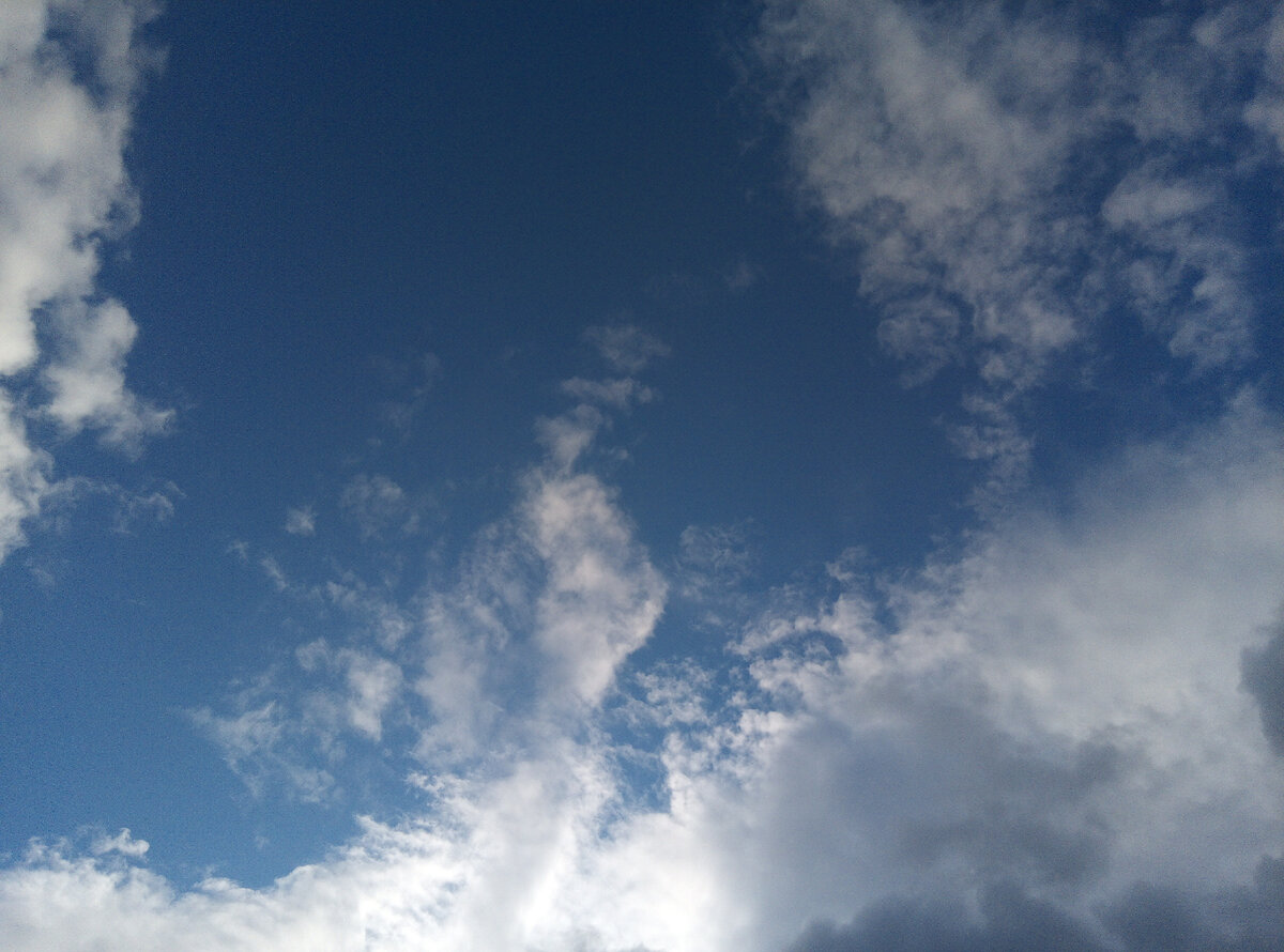 Чистого вам неба. Фото автора 