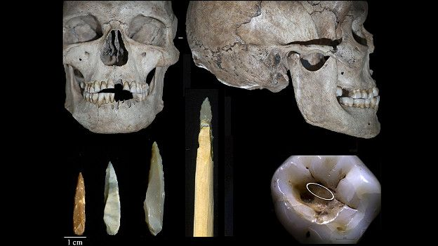 Источник: M ROMANDINI