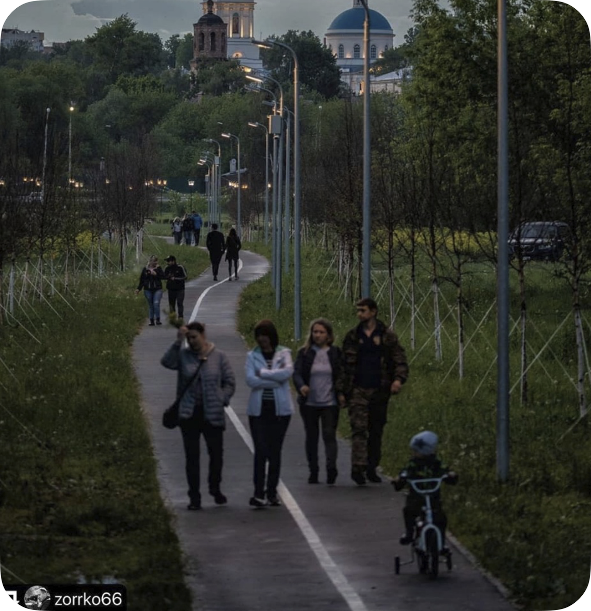 Лес из столбов в Принарском парке