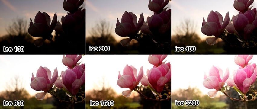 ISO. ISO позволяет высветлять картинку. Чем больше ISO, тем светлее изображение.