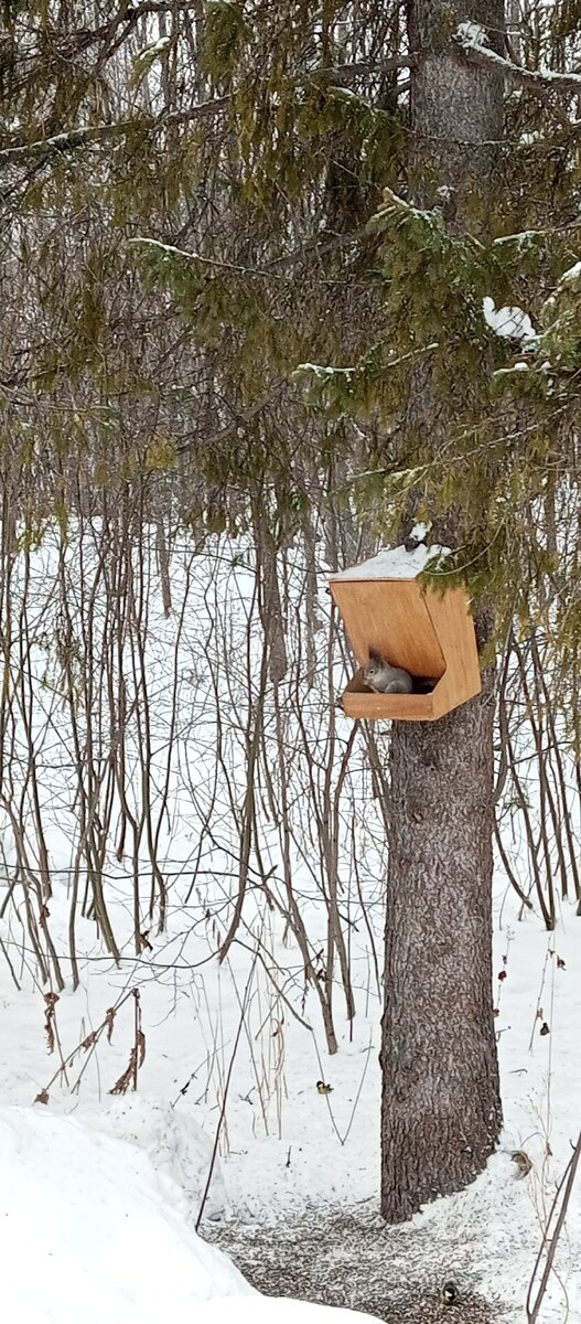 Белочки в Таганае