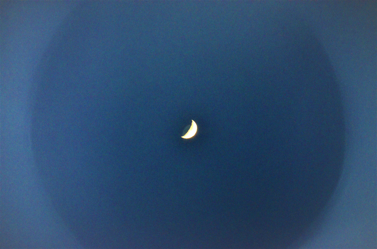 Фото автора.