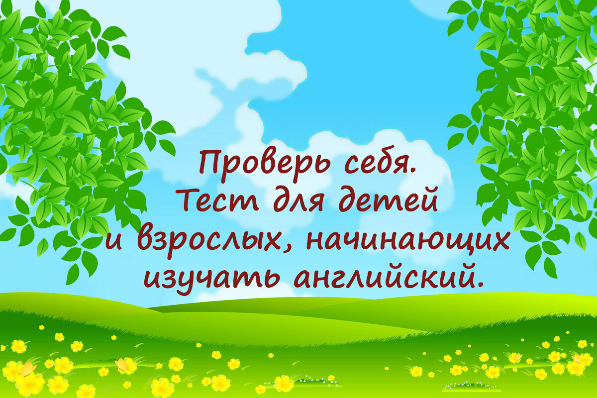 Проверь себя. Тест для детей и взрослых, начинающих изучать английский. |  Английский с Аришей/English_with_arisha | Дзен