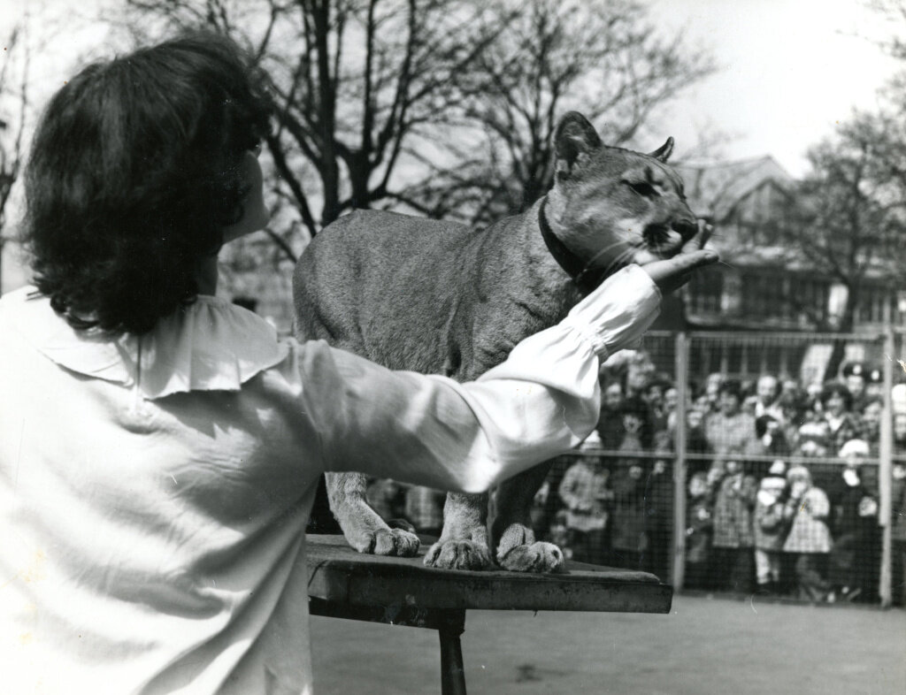 Театр зверей в Калининградском зоопарке, 80-е гг. ХХ в.