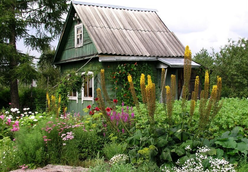 какие ваши дачи. красивые дачные домики. какие ваши дачи. какие ваши дачи. дача.