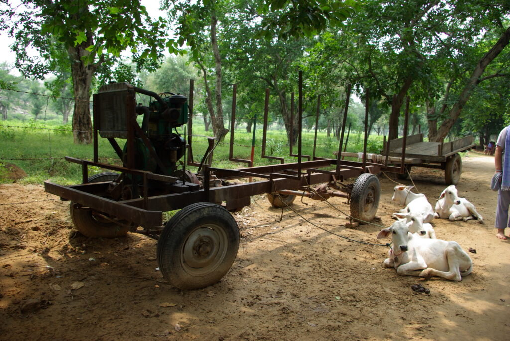 фото из личных архивов