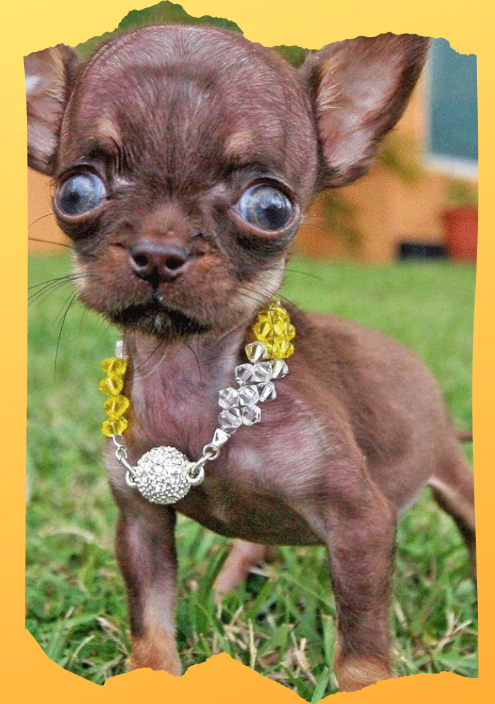 Фото из общедоступных источников