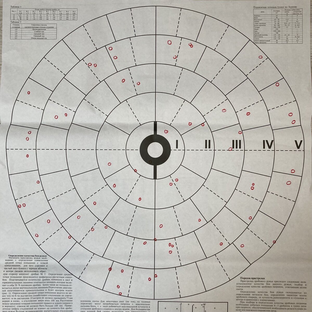 Вот так расположились отпечатки дробин на 100-дольной мишени. Ни одна лист не пробила. ДС 3/4, 35 метров. 
