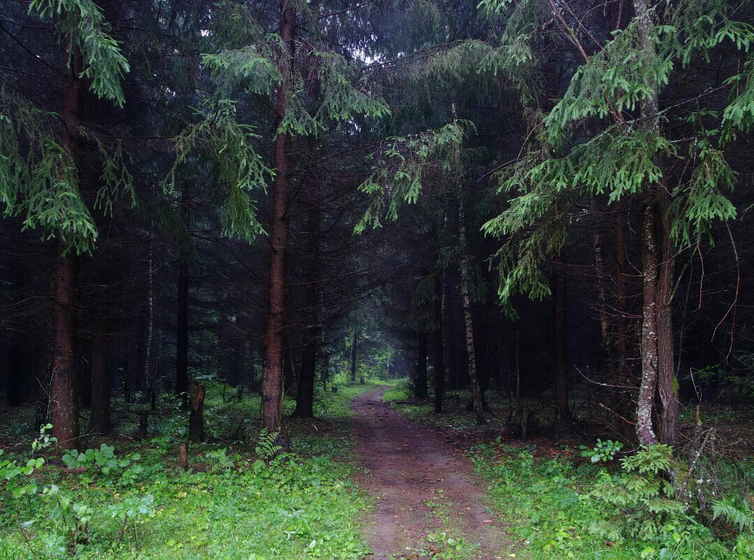 Фото из интернета.