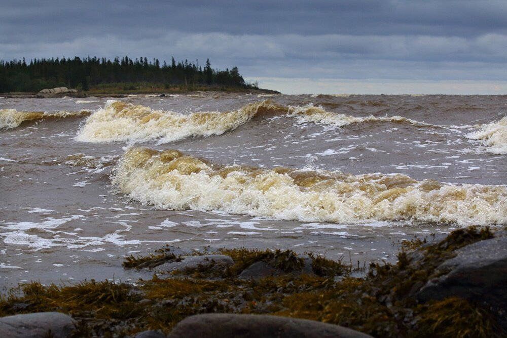 фото В.Дрягуева