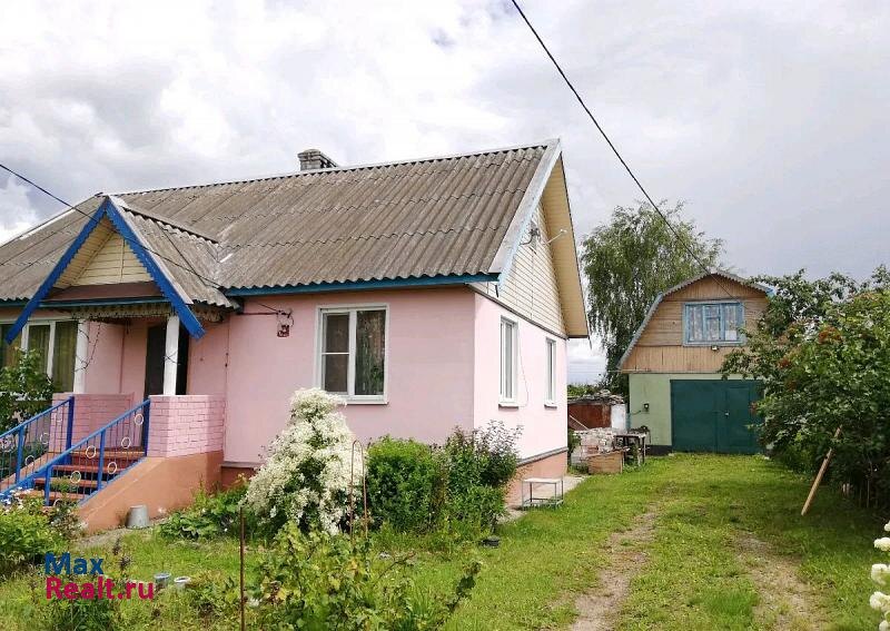 фото из интернета