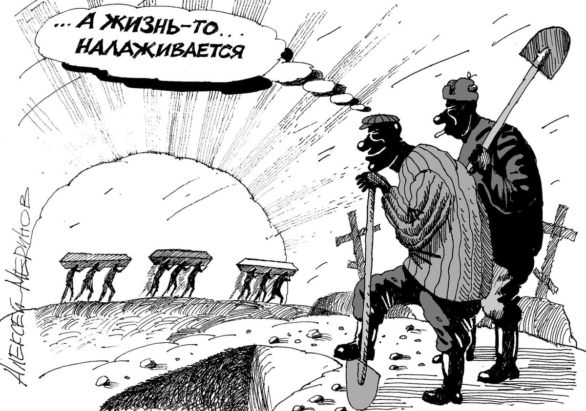 Жизнь налаживается картинки