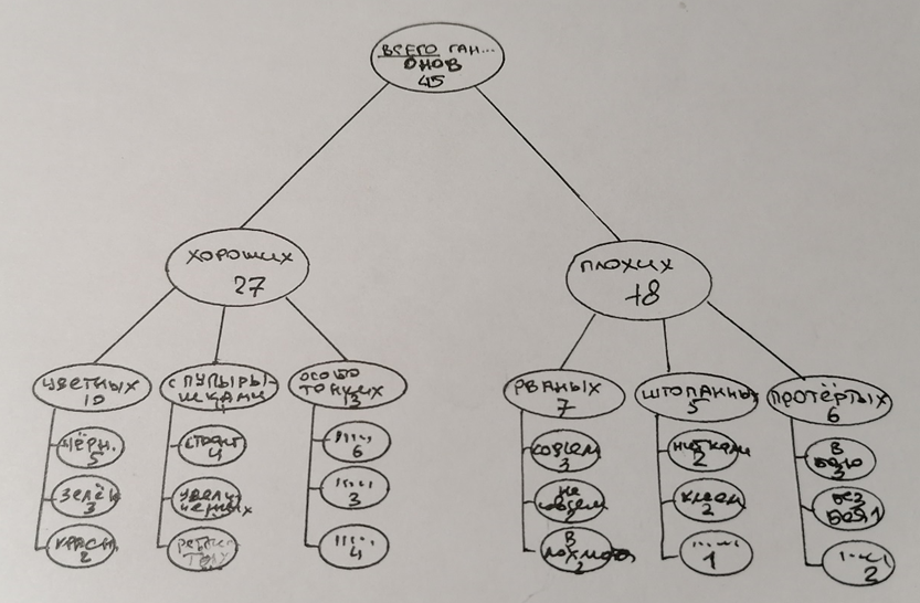 Те самые требуемые яйца! 🤣 Фото автора