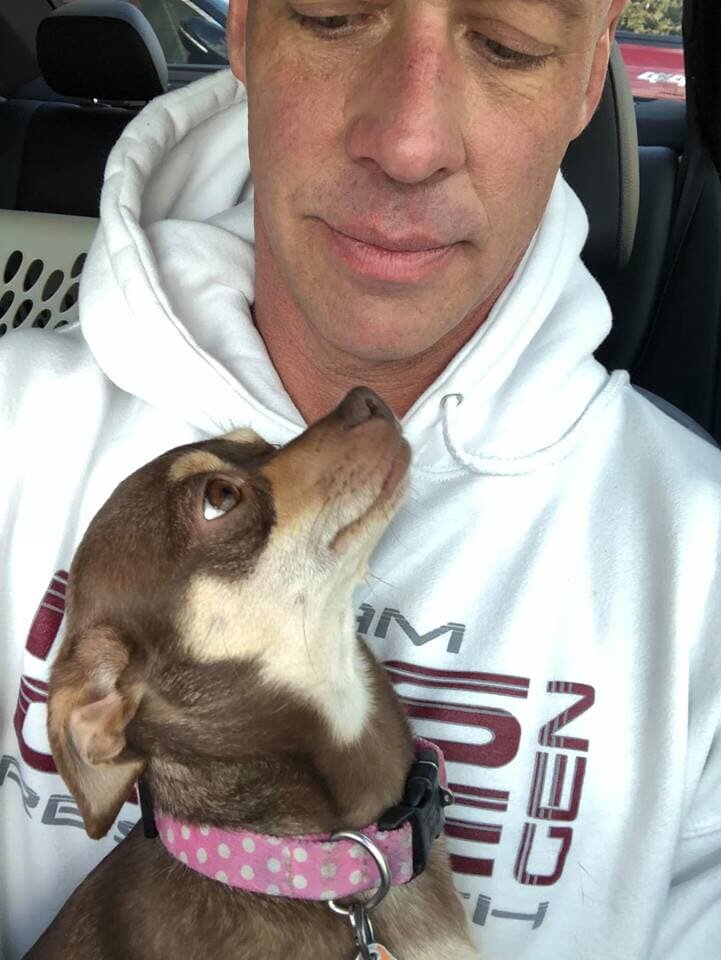 Интересные подборки про животных