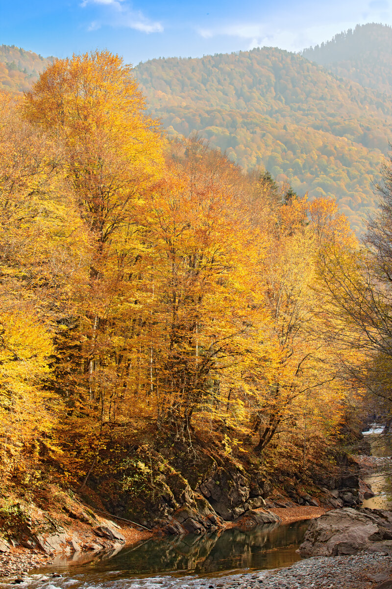 Река Белая у поселка Гузерипль, республика Адыгея. 