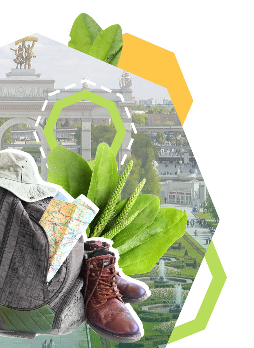 реклама тинькофф автокредит. электронная карта подорожник спб. подорожник поездки. новая модель транспортного обслуживания спб 2022. подорожник поездки.