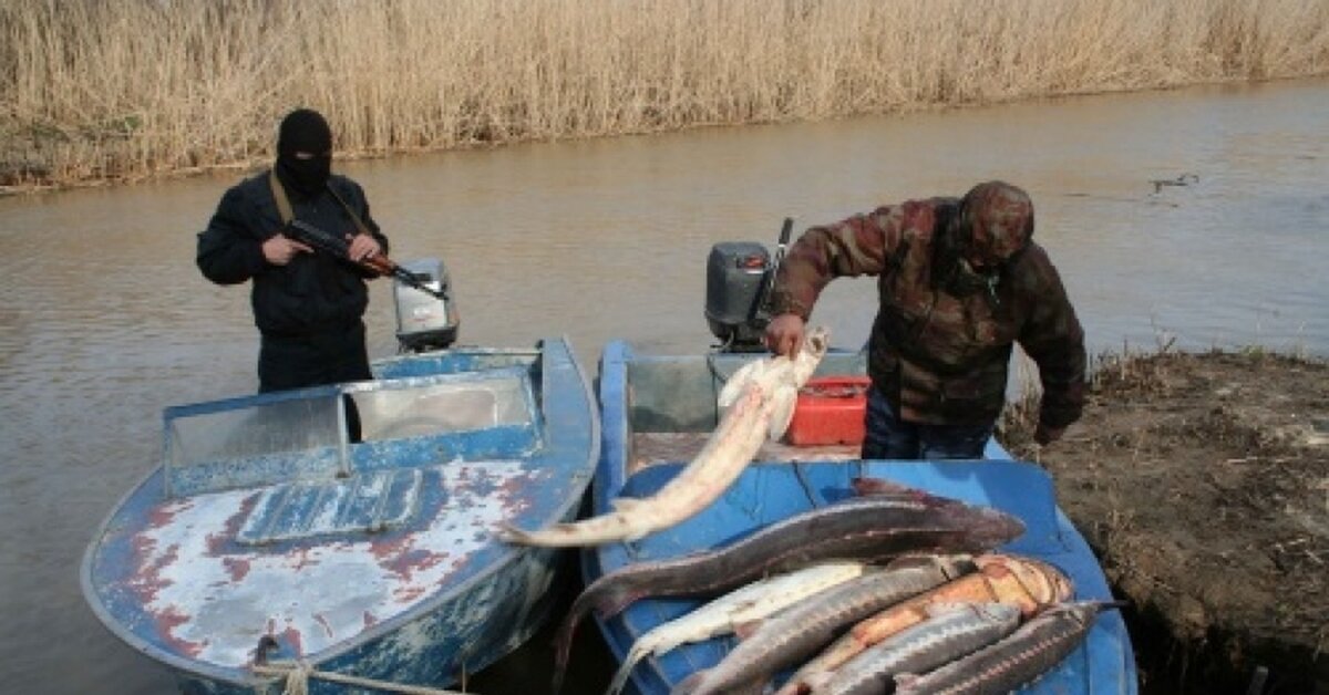 Фото из открытых источников "Яндекс картинки"