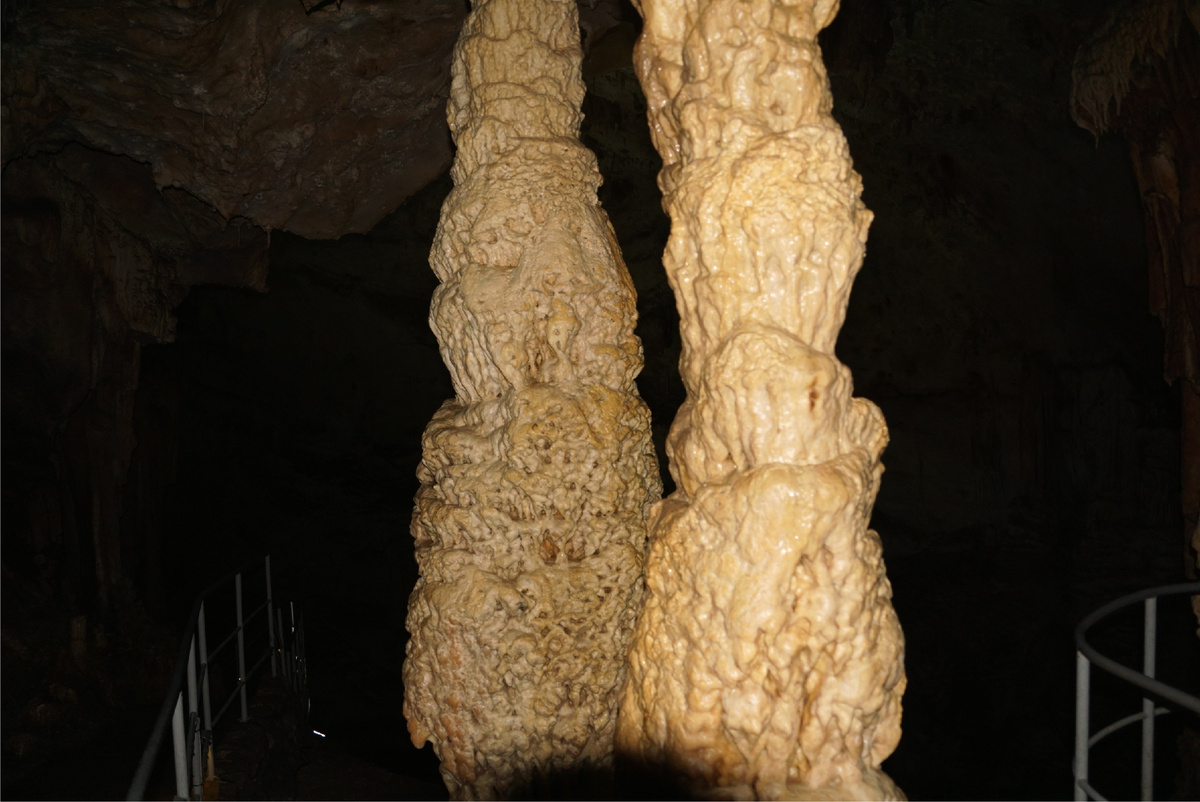 Чьи-то "ножки"